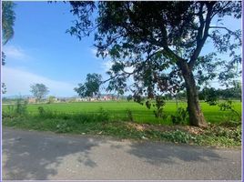  Land for sale in Prambanan, Klaten, Prambanan