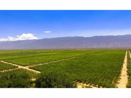  Land for sale in Chilecito, La Rioja, Chilecito