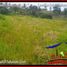  Land for sale in Selemadeg, Tabanan, Selemadeg