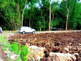  Tanah for sale in Pengasih, Kulon Progo, Pengasih