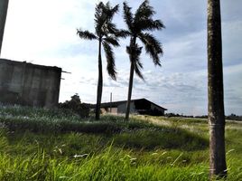 Terrain à vendre à Serang, Banten, Serang, Serang