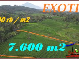  Land for sale in Selemadeg, Tabanan, Selemadeg