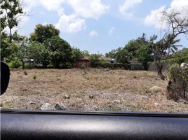  Terreno (Parcela) en venta en Panamá Oeste, Nueva Gorgona, Chame, Panamá Oeste