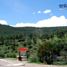  Grundstück zu verkaufen in Durango, Durango, Durango, Durango