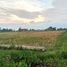  Land for sale in Yogyakarta, Godeyan, Sleman, Yogyakarta