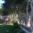  Land for sale in Jocotepec, Jalisco, Jocotepec