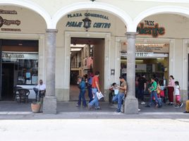  Land for sale in Ciudad Guzman, Jalisco, Ciudad Guzman