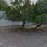  Land for sale in Villa Hidalgo, San Luis Potosi, Villa Hidalgo