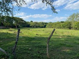  Land for sale in Cali, Valle Del Cauca, Cali