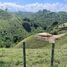 Terrain à vendre à Pereira, Risaralda, Pereira, Risaralda