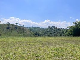 Terrain à vendre à Pereira, Risaralda, Pereira, Risaralda