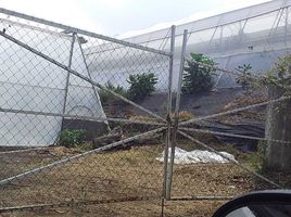 Terreno (Parcela) en alquiler en Huitzilac, Morelos, Huitzilac, Morelos