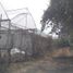  Terreno (Parcela) en alquiler en Huitzilac, Morelos, Huitzilac, Morelos