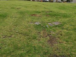  Land for sale in Alangasi, Pichincha, Alangasi