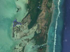  Grundstück zu verkaufen in Othon P Blanco, Quintana Roo, Othon P Blanco