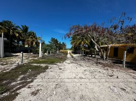 在Sinanche, Yucatan出售的 土地, Sinanche