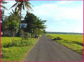  Land for sale in Pengasih, Kulon Progo, Pengasih