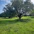  Land for sale in Santa Cruz, Central Luzon, Santa Cruz