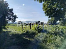  토지을(를) Dist Ocotlan, 오악 사카에서 판매합니다., Dist Ocotlan