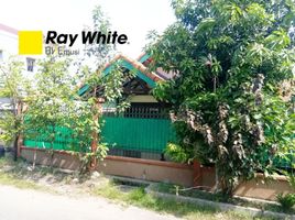 3 Bedroom House for sale in Wonokromo, Surabaya, Wonokromo