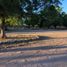  Land for sale in Badiraguato, Sinaloa, Badiraguato