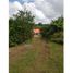 3 Bedroom Villa for sale in Tolima, Falan, Tolima