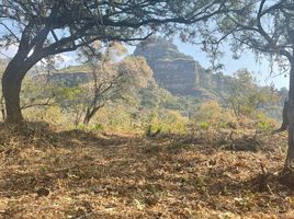  Grundstück zu verkaufen in Tepoztlan, Morelos, Tepoztlan, Morelos