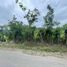  Land for sale in Vilcabamba Victoria, Loja, Vilcabamba Victoria, Loja, Loja
