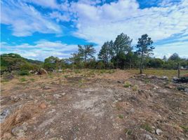  Land for sale in Alto Boquete, Boquete, Alto Boquete