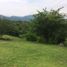  Grundstück zu verkaufen in Tlaltizapan, Morelos, Tlaltizapan
