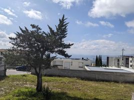  Terreno (Parcela) en venta en Nayon, Quito, Nayon