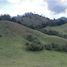 Terrain à vendre à Rionegro, Antioquia, Rionegro, Antioquia