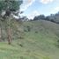 Terrain à vendre à Rionegro, Antioquia, Rionegro, Antioquia