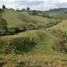 Terrain à vendre à Rionegro, Antioquia, Rionegro, Antioquia