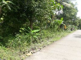  Land for sale in Bantul, Yogyakarta, Kasihan, Bantul