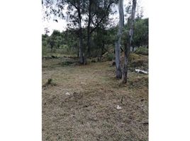 Terreno (Parcela) en venta en Tlalpan, Ciudad de México, Tlalpan