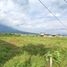  Land for sale in Batu, Malang Regency, Batu