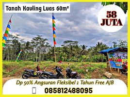  Land for sale in Ngajum, Malang Regency, Ngajum