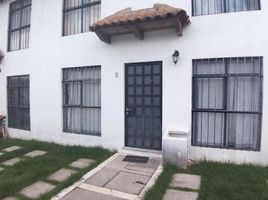 San Cristobal De Las Casas, 치아파스PropertyTypeNameBedroom, San Cristobal De Las Casas