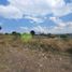  Land for sale in Tarimbaro, Michoacan, Tarimbaro