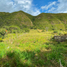  Terreno (Parcela) en venta en Malacatos (Valladolid), Loja, Malacatos (Valladolid), Loja, Loja