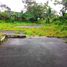  Land for sale in Selemadeg, Tabanan, Selemadeg