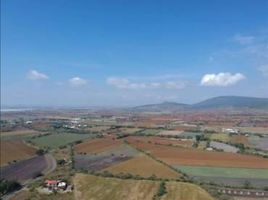  Terreno (Parcela) en venta en Salamanca, Guanajuato, Salamanca