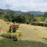 3 Habitación Villa en venta en La Ceja, Antioquia, La Ceja