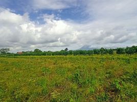 2 Kamar Rumah for sale in Jagonalan, Klaten, Jagonalan