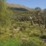  Terrain for sale in Chacabuco, San Luis, Chacabuco