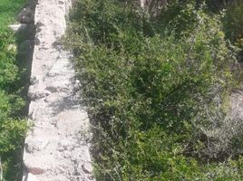  Terrain for sale in Chacabuco, San Luis, Chacabuco