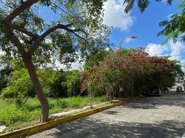  Terreno (Parcela) en venta en Cancún, Quintana Roo, Cancún