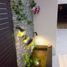 3 Bedroom House for rent in An Hai Bac, Da Nang, An Hai Bac, Son Tra