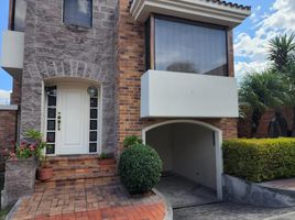 3 Habitación Villa en venta en Cumbaya, Pichincha, Cumbaya